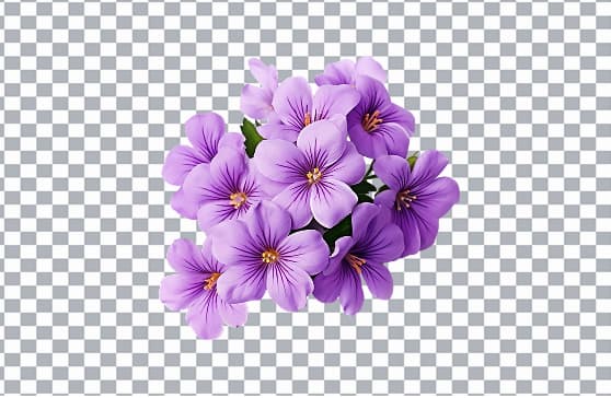 Background Remover